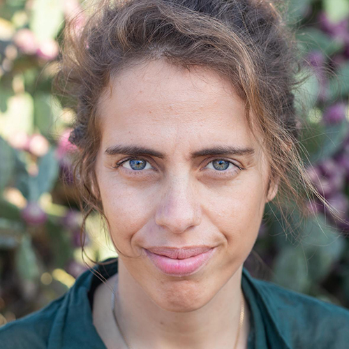 נרקיס אלון